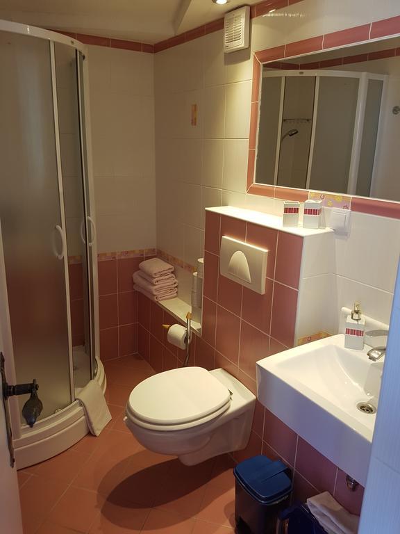 Apartments Mirela Gradac  Extérieur photo